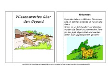 Mini-Buch-für-Lapbook-Gepard-Lesetext-B.pdf